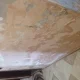 IMG 0409